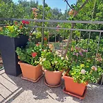 Apartment Dida Jakov