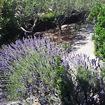Apartamento Dida Jakov *
