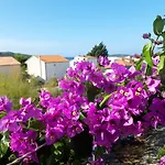 Apartment Dida Jakov Primosten
