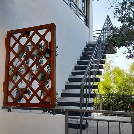 Dida Jakov Primosten