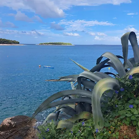 Dida Jakov * Primošten