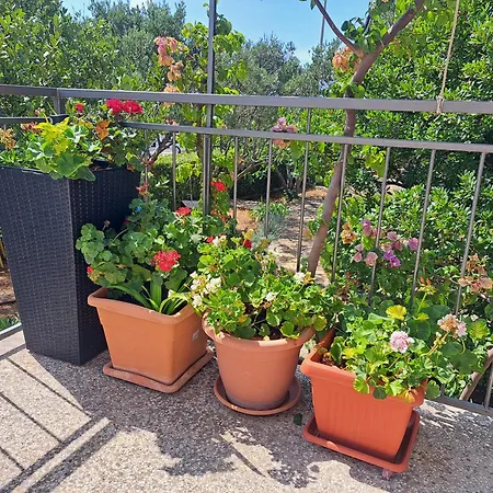 Apartment Dida Jakov