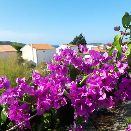 Apartamento Dida Jakov Primošten