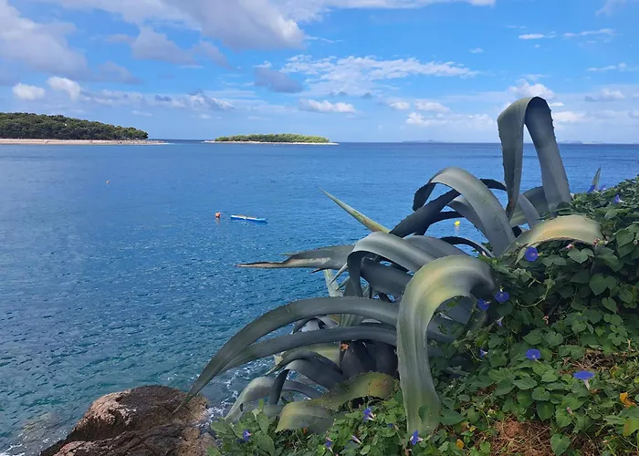 Dida Jakov * Primošten