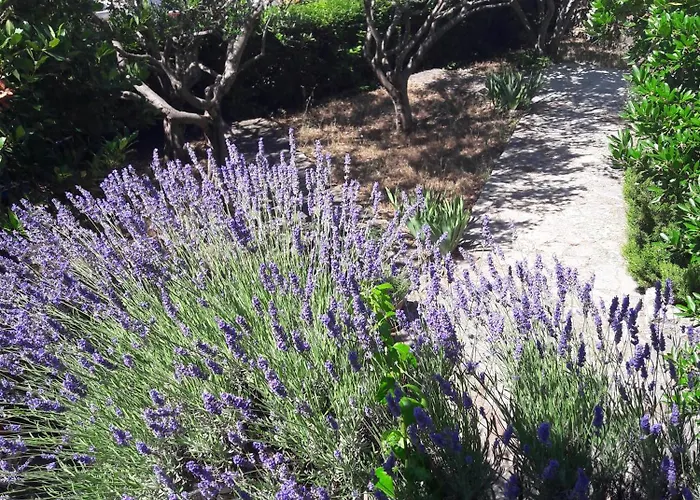 Appartement Dida Jakov *