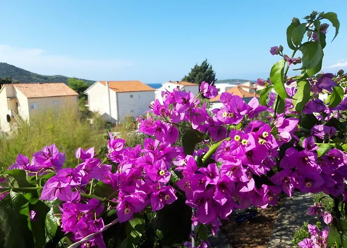 Appartement Dida Jakov Primošten